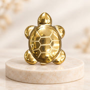 Golden Pyrite Turtle